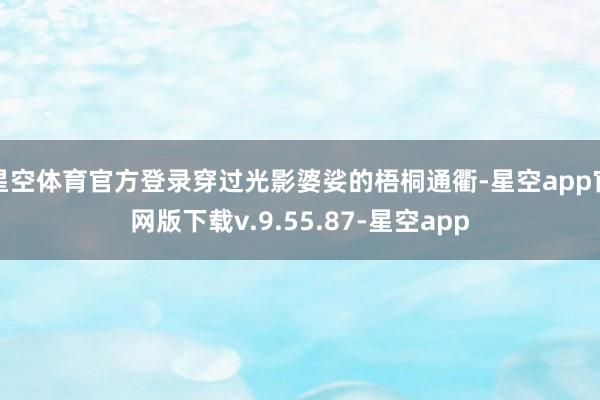 星空体育官方登录穿过光影婆娑的梧桐通衢-星空app官网版下载v.9.55.87-星空app