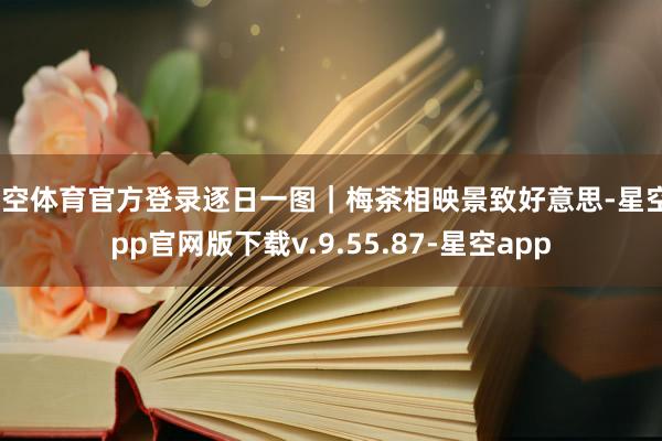 星空体育官方登录逐日一图｜梅茶相映景致好意思-星空app官网版下载v.9.55.87-星空app