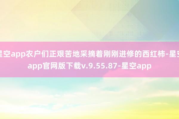 星空app农户们正艰苦地采摘着刚刚进修的西红柿-星空app官网版下载v.9.55.87-星空app