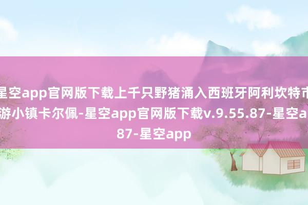 星空app官网版下载上千只野猪涌入西班牙阿利坎特市旅游小镇卡尔佩-星空app官网版下载v.9.55.87-星空app