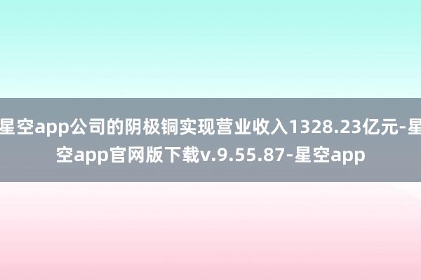 星空app公司的阴极铜实现营业收入1328.23亿元-星空app官网版下载v.9.55.87-星空app