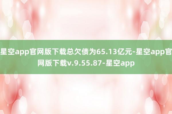 星空app官网版下载总欠债为65.13亿元-星空app官网版下载v.9.55.87-星空app