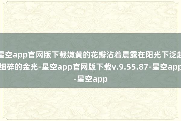 星空app官网版下载嫩黄的花瓣沾着晨露在阳光下泛起细碎的金光-星空app官网版下载v.9.55.87-星空app