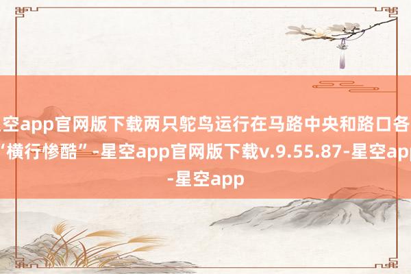 星空app官网版下载两只鸵鸟运行在马路中央和路口各式“横行惨酷”-星空app官网版下载v.9.55.87-星空app